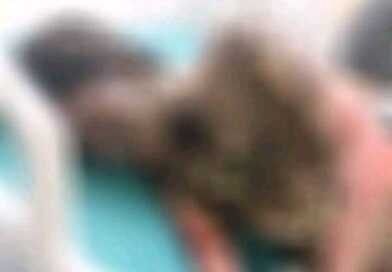 #Tonalá #Chiapas Mujer pierde la vida tras rociarle gasolina y prenderle fuego por su pareja sentimental #Tonalá #Chiapas Mujer pierde la vida tras rociarle gasolina y prenderle fuego por su pareja sentimental