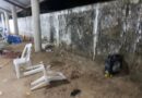 Video: #Petatlán #Guerrero ataque armado en palenque deja cinco muertos y varios heridos